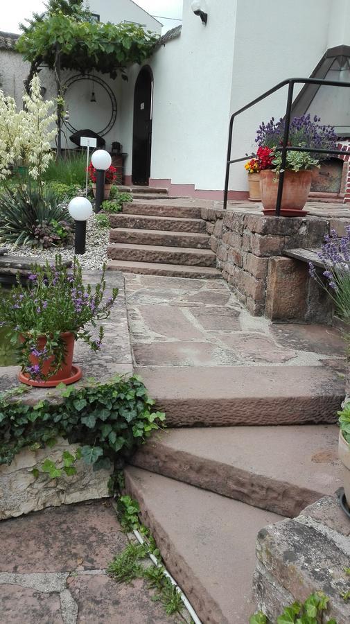 Ferienwohnung Belle Vue Bernkastel-Kues Luaran gambar